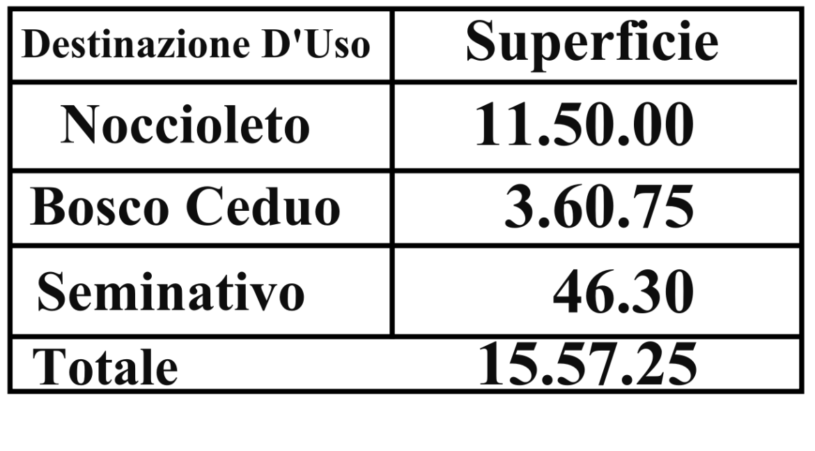 Metratura terreni